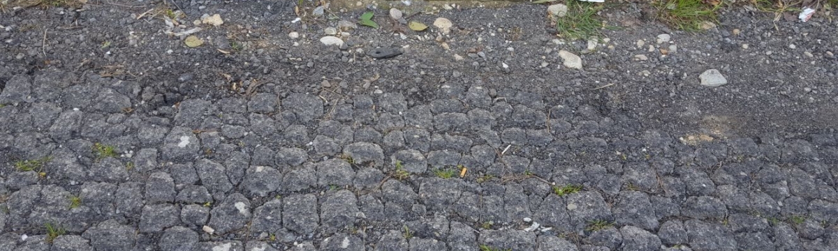 Estat d'un dels carrers del Maset